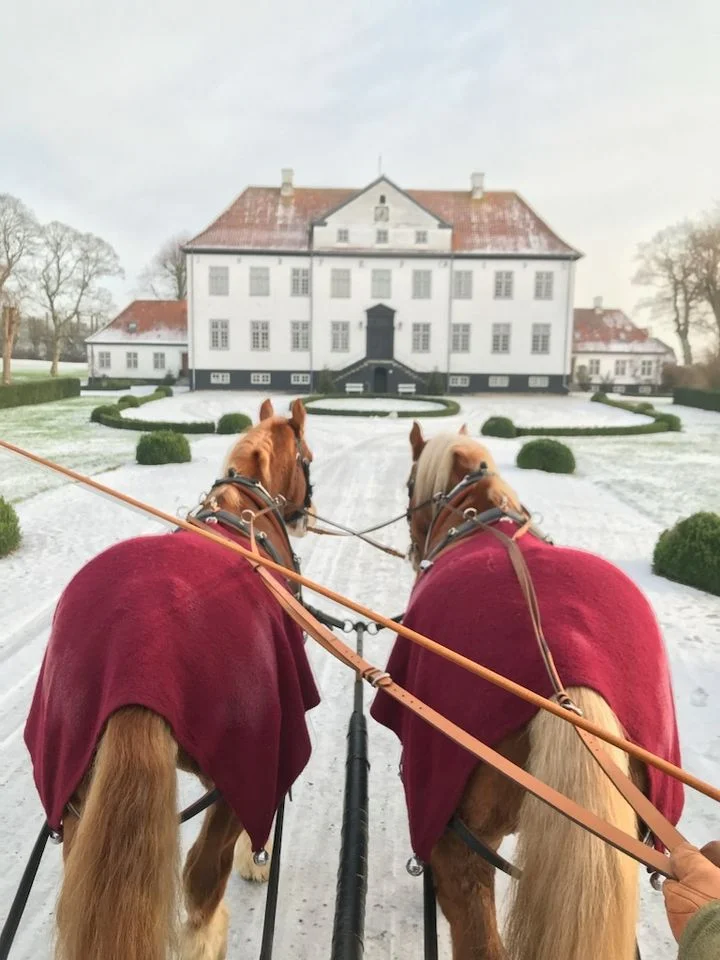 Stensballegaard Gods Julemarked og Juletræer