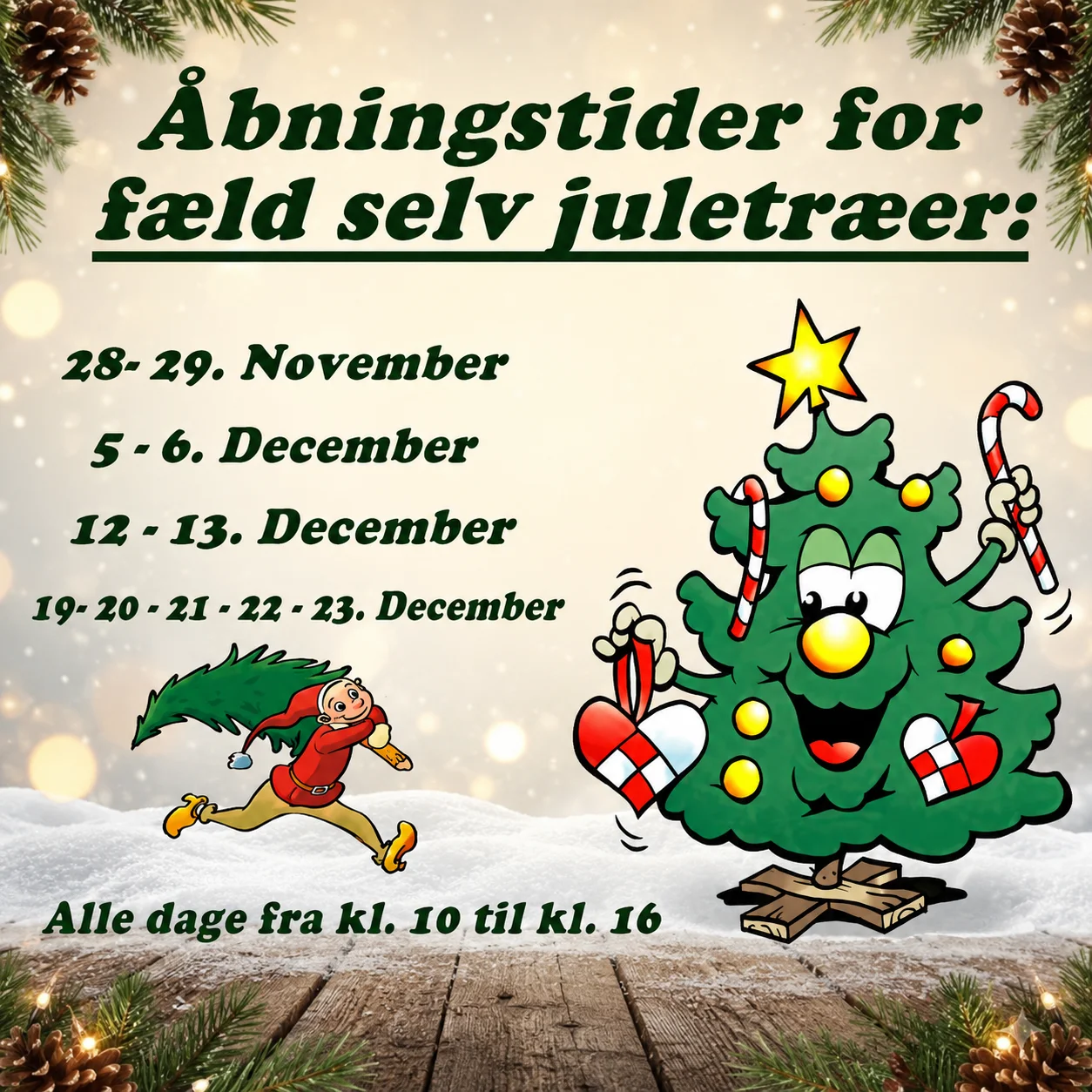 Juletræer fra Melholt Plantage, Asaa