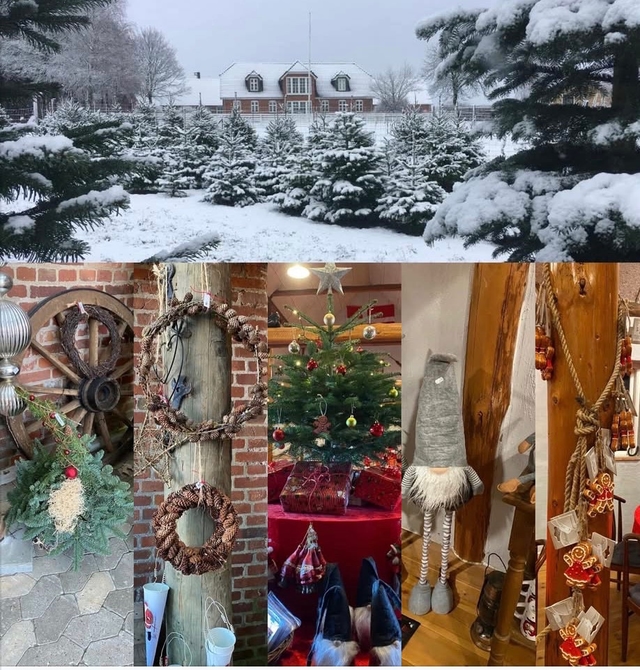 Poul's Juletræer og Jul i Saloonen, Randers SV