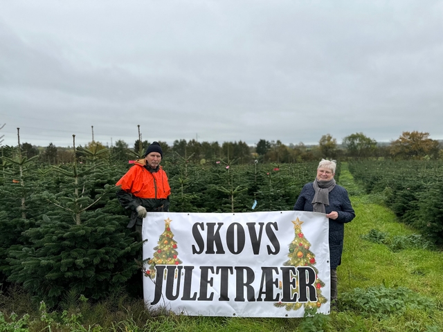 Skovs juletræer, Næstved
