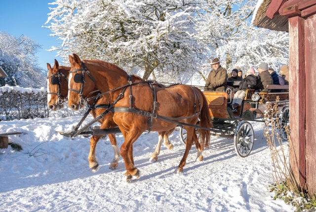 Jul i Den Fynske Landsby